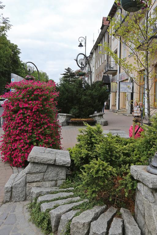 Апартаменты Apartament Giewont Krupowki Закопане Экстерьер фото